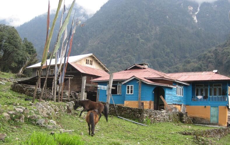 Mayal Lyang Homestay, Mangan 1